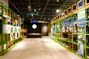 展示室「富士に棲む」